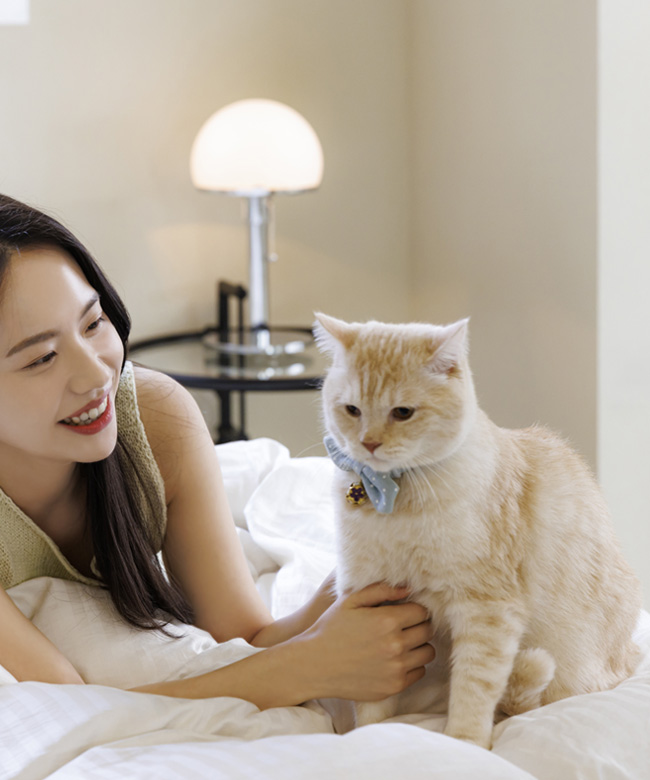 고양이 이미지
